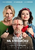 Постер Совместная опека (2020)