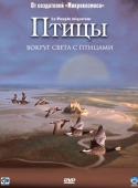 Постер Птицы (2001)