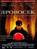 Постер Дровосек (2004)