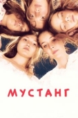 Постер Мустанг (2015)