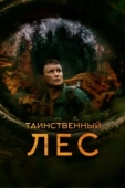 Постер Таинственный лес (2023)
