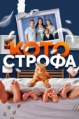 Постер Котострофа (2023)