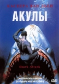 Постер Акулы (1999)