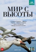 Постер BBC: Мир с высоты птичьего полета (2011)