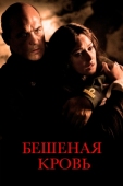 Постер Бешеная кровь (2008)