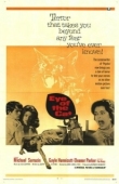 Постер Глаз кота (1969)
