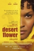 Постер Цветок пустыни (2009)