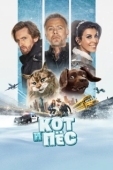 Постер Кот и пёс (2024)