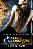 Постер Ключ Саламандры (2011)