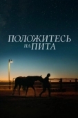 Постер Положитесь на Пита (2017)