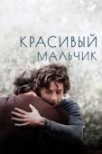 Постер Красивый мальчик (2018)