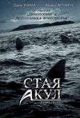 Постер Стая акул (2008)