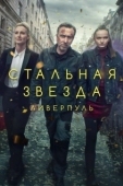 Постер Стальная звезда (2017)