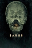 Постер Залив (2012)