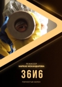 Постер 36и6 (2020)