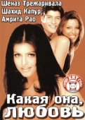 Постер Какая она, любовь (2003)