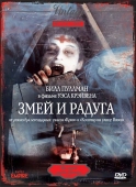 Постер Змей и радуга (1987)