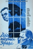 Постер Версия полковника Зорина (1978)