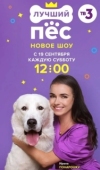 Постер Лучший пёс (2020)