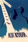 Постер Летят журавли (1957)