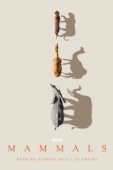 Постер Млекопитающие (2024)
