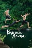 Постер Короли лета (2013)