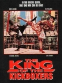 Постер Король кикбоксеров (1990)