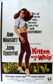 Постер Кошечка с хлыстом (1964)