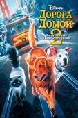 Постер Дорога домой 2: Затерянные в Сан-Франциско (1996)