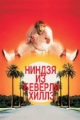 Постер Ниндзя из Беверли Хиллз (1997)