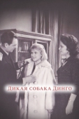 Постер Дикая собака динго (1962)