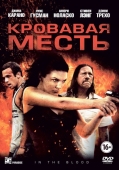 Постер Кровавая месть (2013)