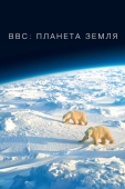 Постер BBC: Планета Земля (2006)