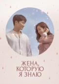 Постер Знакомая жена (2018)