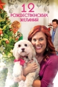 Постер 12 Рождественских желаний (2011)