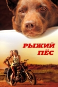 Постер Рыжий пес (2011)