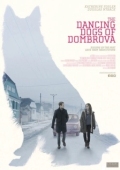 Постер Танцующие собаки из Домбровы (2018)