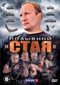 Постер Позывной «Стая» (2013)