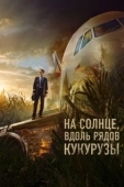 Постер На солнце, вдоль рядов кукурузы (2022)