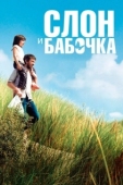 Постер Слон и бабочка (2017)