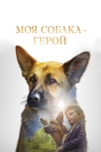 Постер Моя собака - герой (2018)