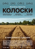 Постер Колоски (2012)