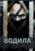 Постер Водила (2024)