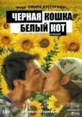 Постер Черная кошка, белый кот (1998)