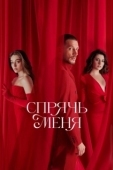 Постер Спрячь меня (2023)