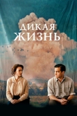 Постер Дикая жизнь (2017)