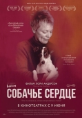 Постер Собачье сердце (2015)