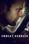 Постер Эффект колибри (2012)