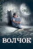 Постер Волчок (2009)