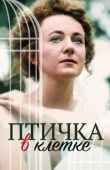 Постер Птичка в клетке (2020)